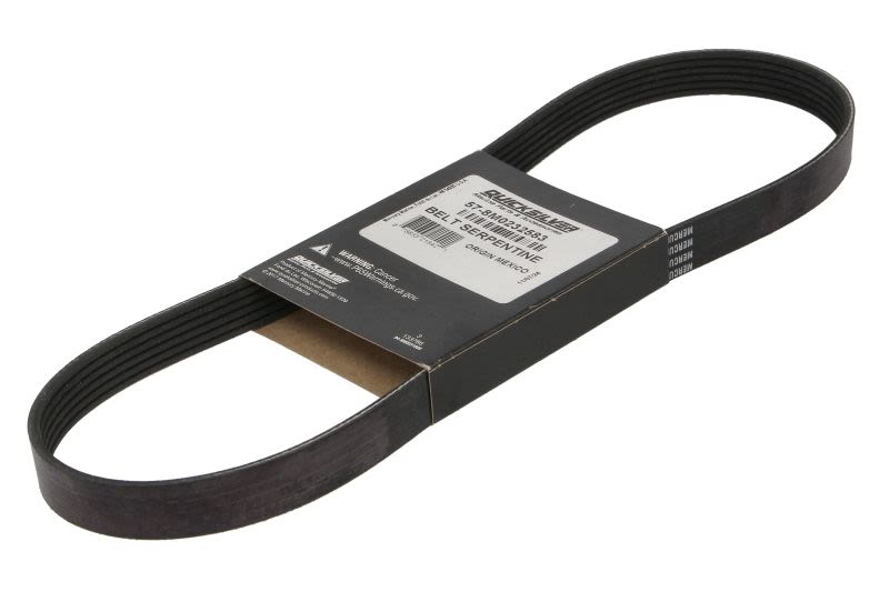 Pasek wieloklinowy QUICKSILVER 8M0232583