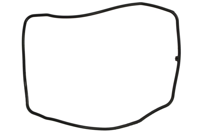 Uszczelka pokrywy zaworów SIERRA 118-60917