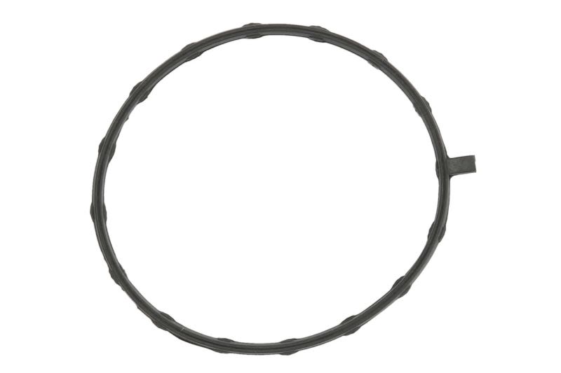 Uszczelka pompy paliwa SIERRA 118-0396