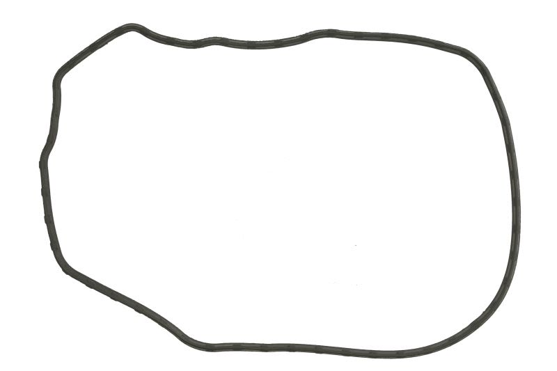 Uszczelka pokrywy zaworów QUICKSILVER 27-8M0069616