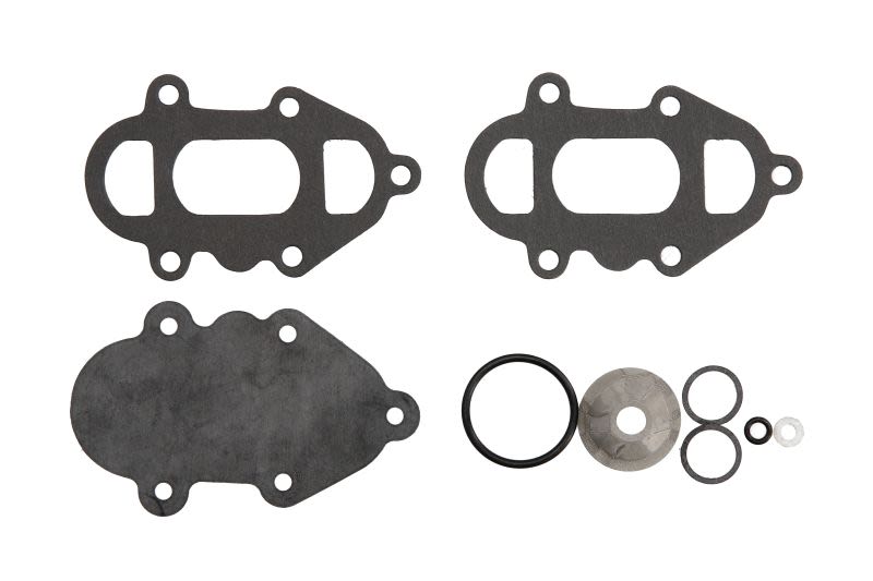 Zestaw naprawczy pompy paliwa SIERRA 118-7811