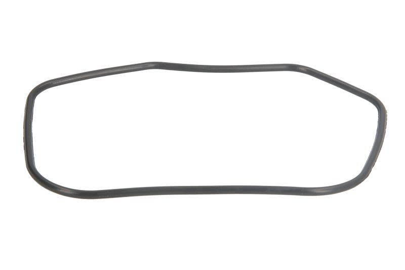 Uszczelka/uszczelniacz gaźnika PARSUN F6-04000005