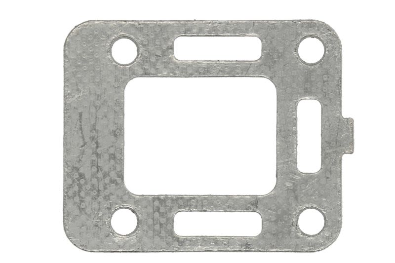 Dichtung Riser Mercury/MerCruiser Sierra 18-2833