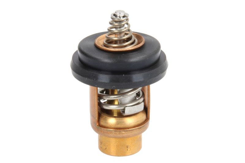 Termostat QUICKSILVER 804540