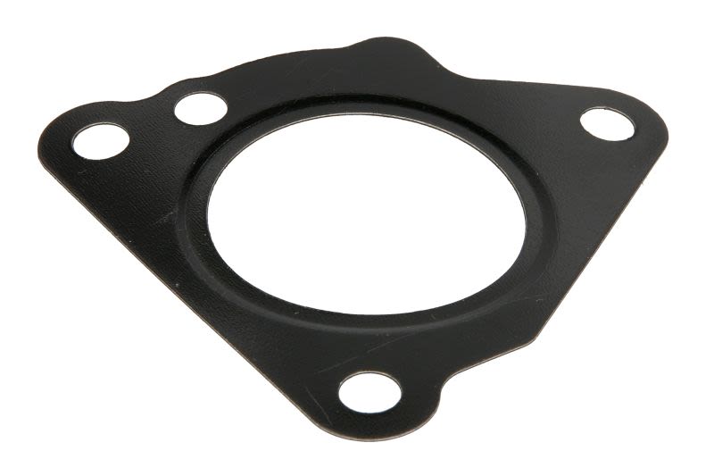 Uszczelka obudowy filtra powietrza PARSUN F25-02000011