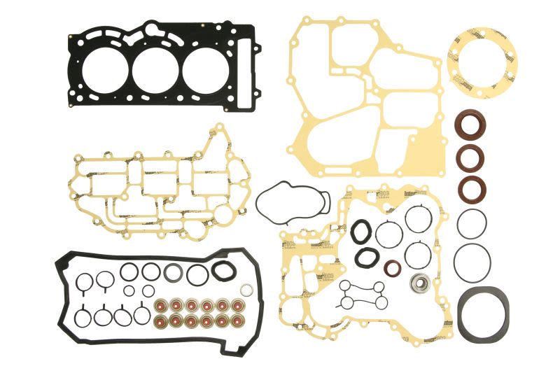 Kompletny zestaw uszczelek silnika WSM 007-622