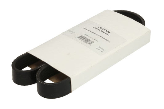 Pasek wielorowkowy SIERRA 118-15128