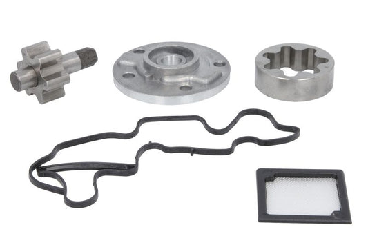 Zestaw naprawczy pompy oleju WSM 010-1215