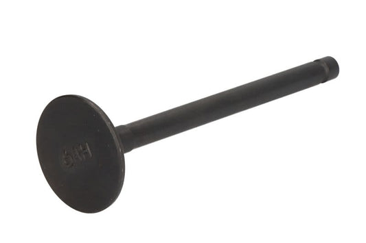 Zawór wydechowy PARSUN F20-05030002