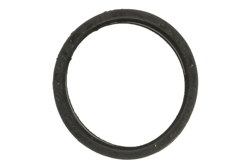 Uszczelka/uszczelniacz gaźnika PARSUN F40-05090408EI