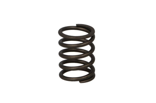 Sprężyna zaworu PARSUN F6-04050003