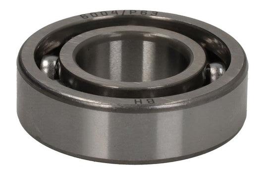 Łożysko spodziny PARSUN GB/T276-6004C2