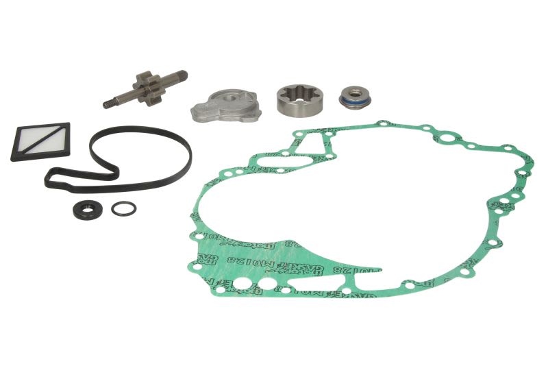 Zestaw naprawczy pompy oleju WSM 010-1200