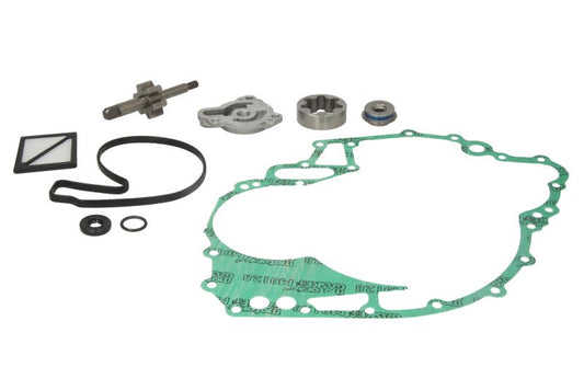 Zestaw naprawczy pompy oleju WSM 010-1200