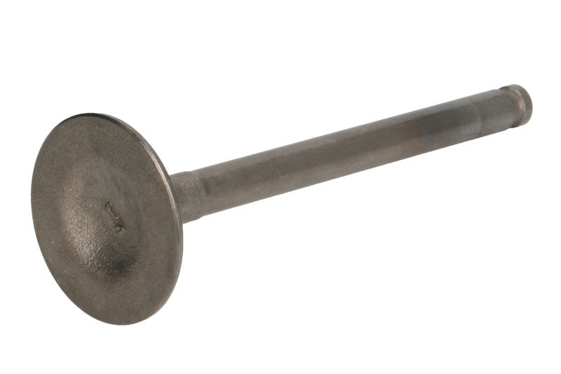 Zawór ssący PARSUN F8-05030001