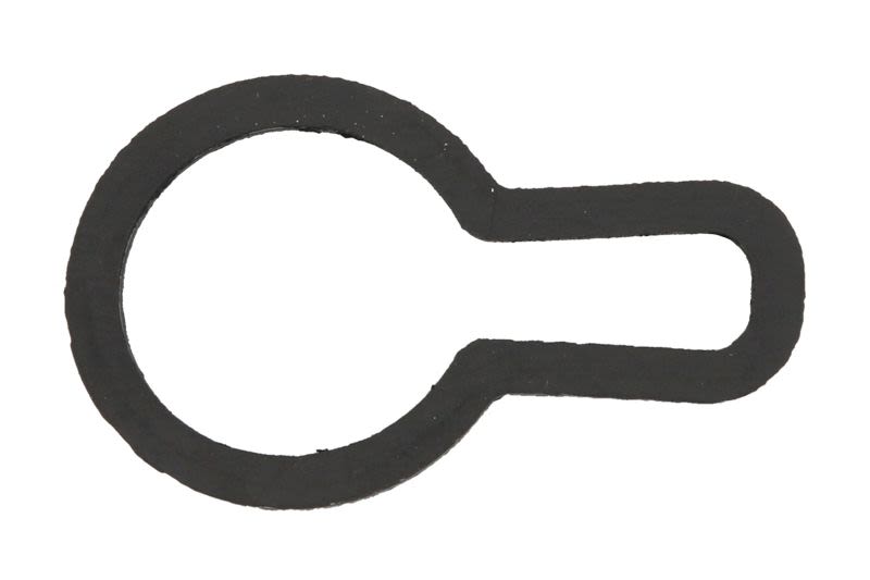 Uszczelka wydechu PARSUN F60-02000008