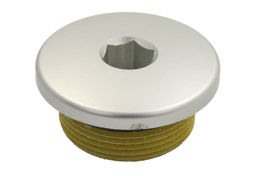 Korek spustowy oleju WSM 014-750