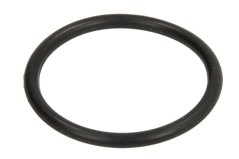O-ring spodziny PARSUN JASO-F404-31-035