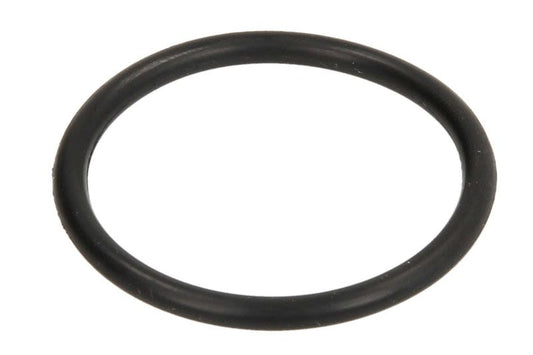 O-ring spodziny PARSUN JASO-F404-31-035