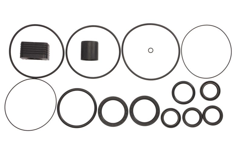 Zestaw uszczelnień przekładni VOLVO PENTA 3856002