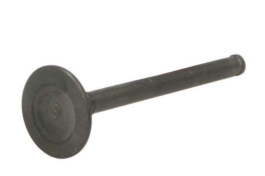 Zawór wydechowy PARSUN F6-04050002