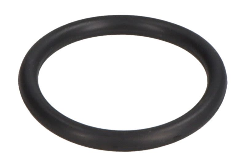 O-ring pompy paliwa PARSUN GB/T3452.1-20.2X2.4