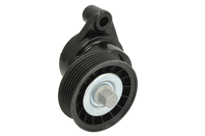 Napinacz paska wieloklinowego VOLVO PENTA 3885250