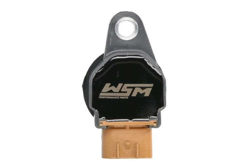 Cewka zapłonowa WSM 004-177