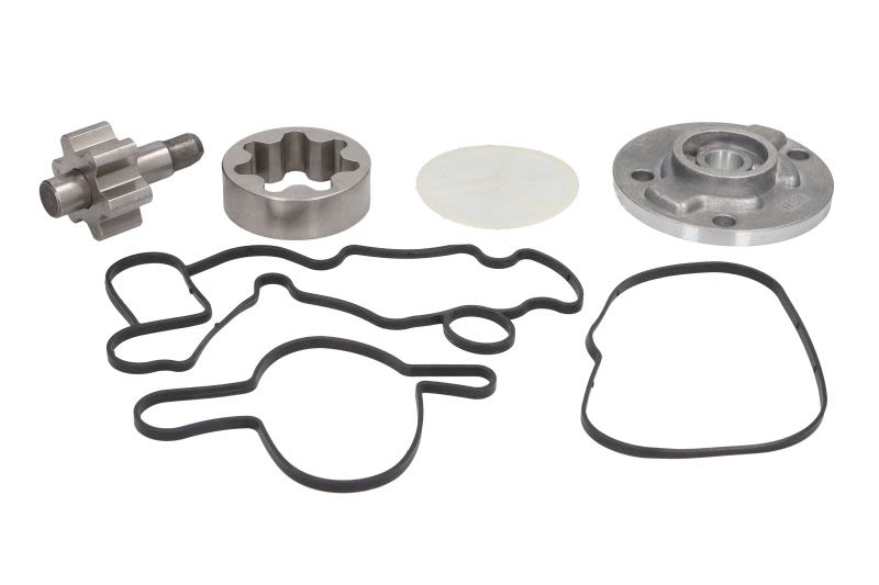 Zestaw naprawczy pompy oleju WSM 010-1210
