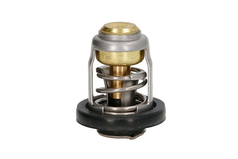 Termostat środka chłodzącego QUICKSILVER 825212A1