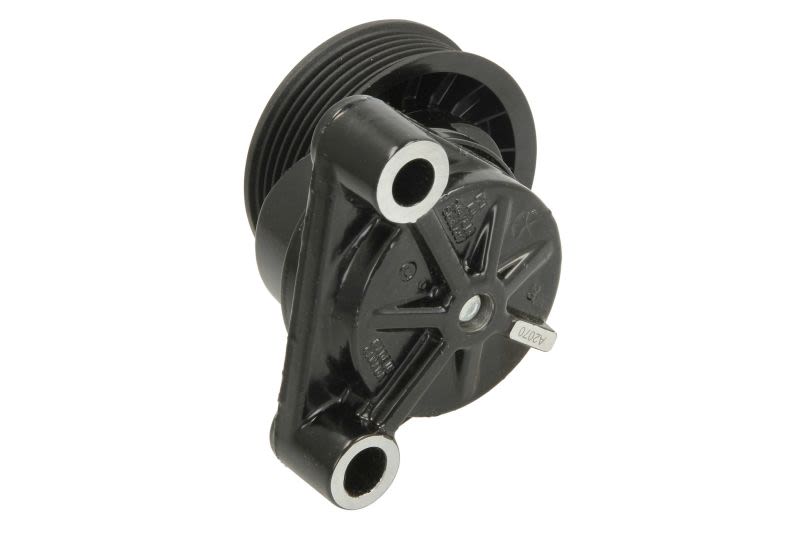 Napinacz paska wieloklinowego VOLVO PENTA 3885250