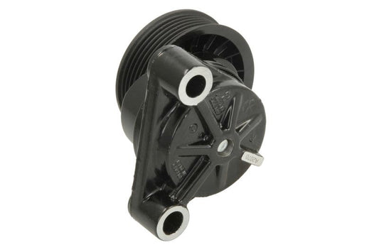 Napinacz paska wieloklinowego VOLVO PENTA 3885250