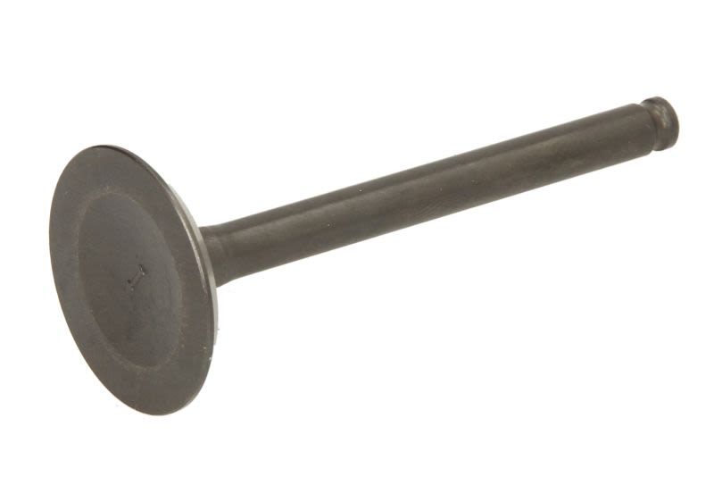 Zawór ssący PARSUN F6-04050001