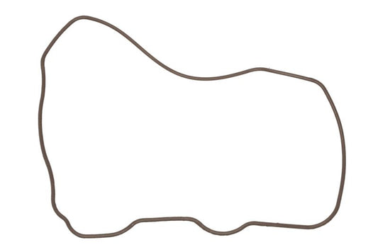 Junta de la tapa de válvulas PARSUN/YAMAHA F20 F25