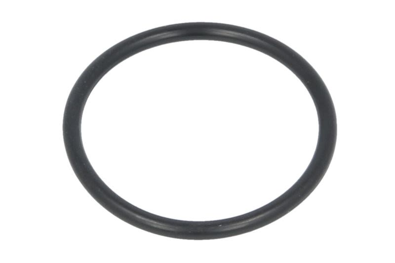 Uszczelka (O-ring) pompy cieczy chłodzącej PARSUN F25-04050003