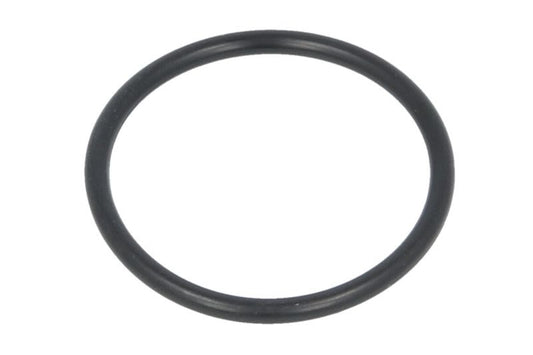 Uszczelka (O-ring) pompy cieczy chłodzącej PARSUN F25-04050003