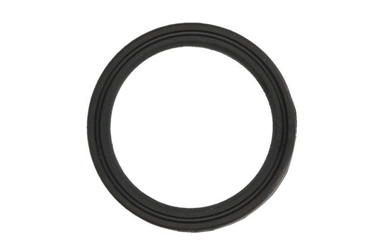 Abgasdichtung PARSUN F50/F60 (F60-02010012)