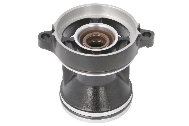 Untere Getriebedichtung PARSUN F15A/F20A