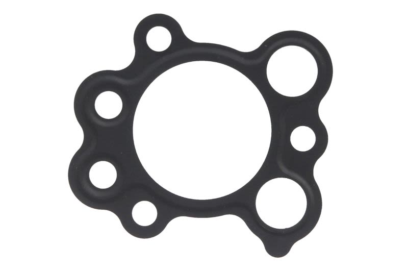 Ölpumpendichtung PARSUN F15-07040016