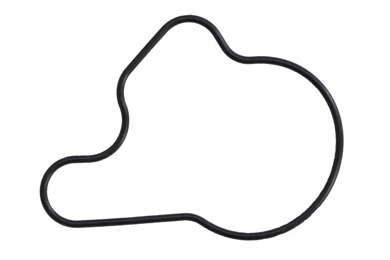 Oil Pump Seal PARSUN F40-05040405