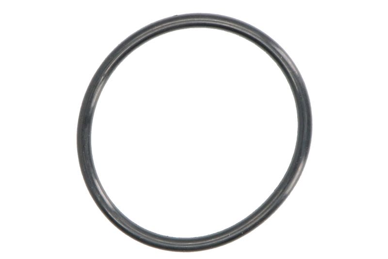 Intake Manifold Gasket for Parsun F20/F25