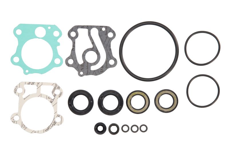 Zestaw naprawczy przekładni spodziny SIERRA 118-74504