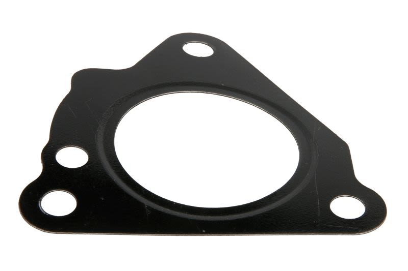 Uszczelka obudowy filtra powietrza PARSUN F25-02000011