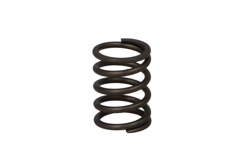Sprężyna zaworu PARSUN F6-04050003